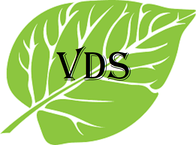 Logo VDS